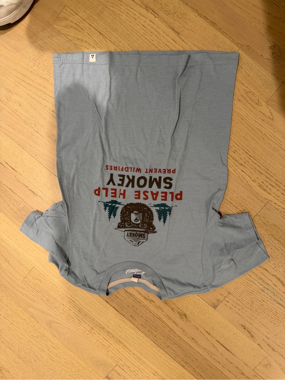 Smokey The Bear Graphic Kids Tee - Light Blue